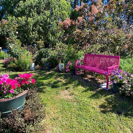 Korimako'S Nest Garden Studio Carterton Экстерьер фото