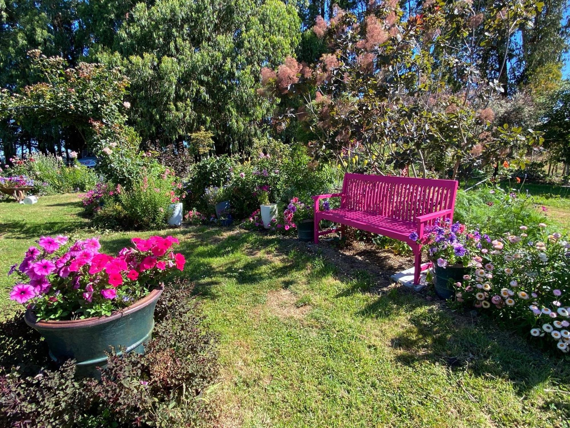 Korimako'S Nest Garden Studio Carterton Экстерьер фото