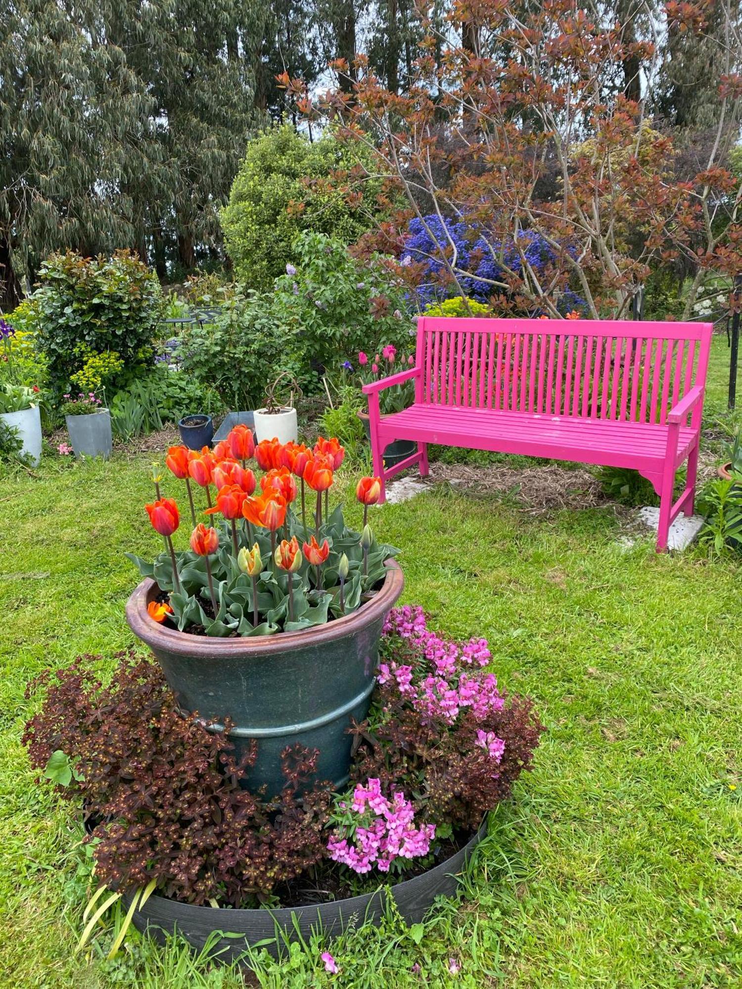 Korimako'S Nest Garden Studio Carterton Экстерьер фото